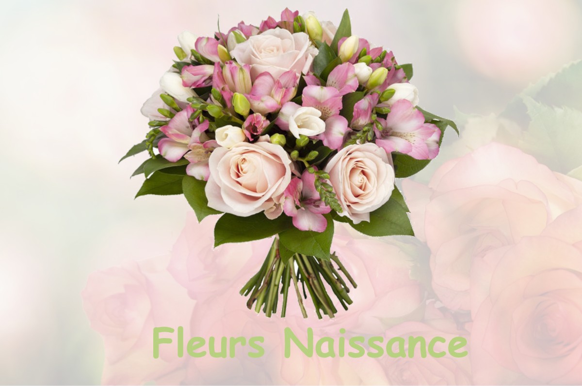 fleurs naissance MAREAU-AUX-BOIS
