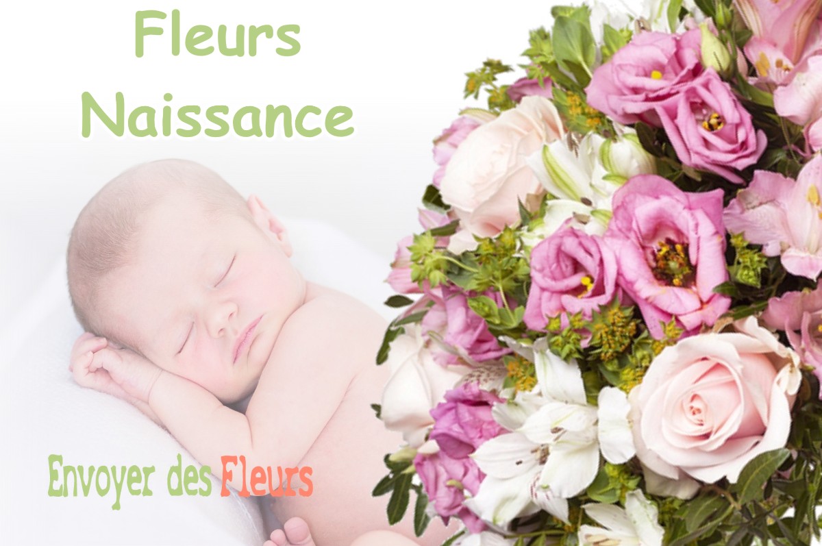 lIVRAISON FLEURS NAISSANCE à MAREAU-AUX-BOIS